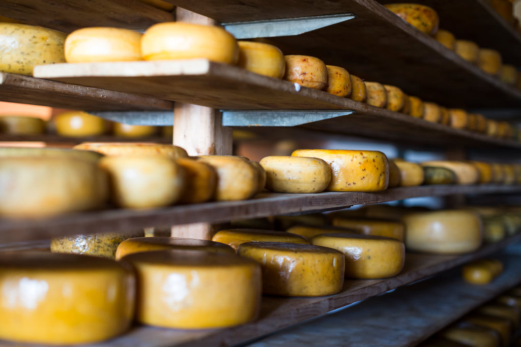 Five things about NORTHERN EUROPEAN CHEESE you probably didn’t know!